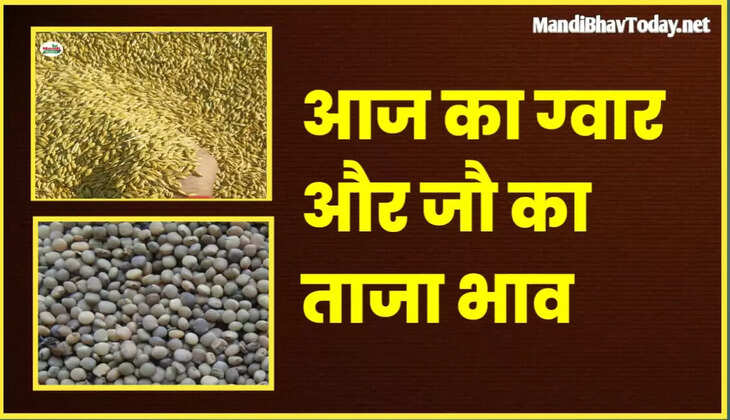 guar seed and jo rate