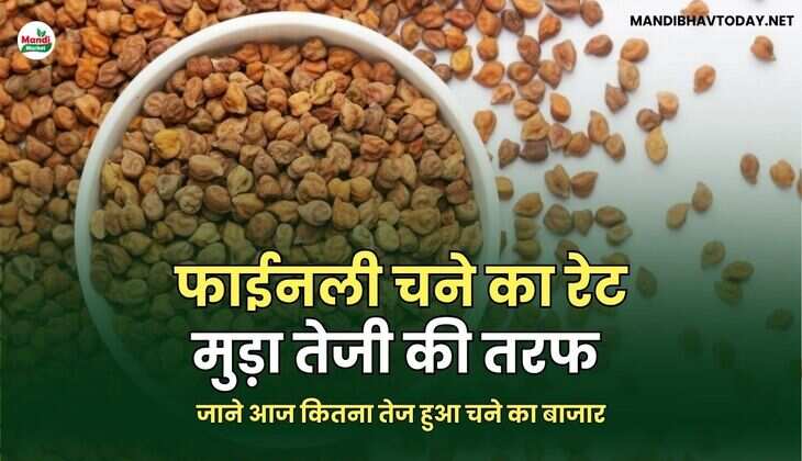 चना इमेज 