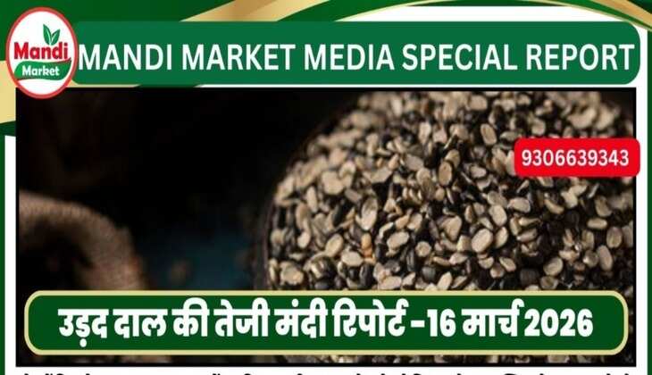 उड़द दाल की तेजी मंदी रिपोर्ट -16 मार्च 2026