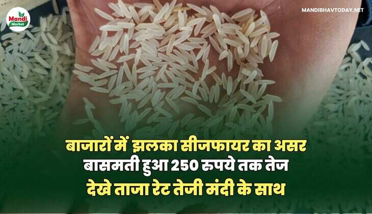 बासमती images
