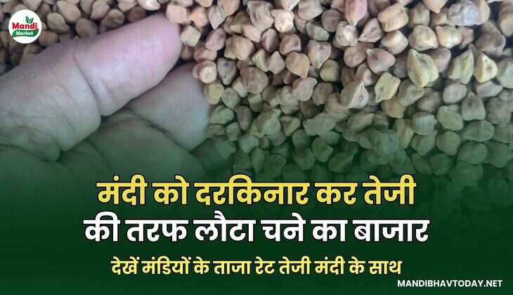 देखें मंडियों के ताजा रेट तेजी मंदी के साथ