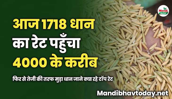 आज 1718 धान का रेट पहुँचा 4000 के करीब | फिर से तेजी की तरफ मुड़ा धान | जाने क्या रहे टॉप रेट