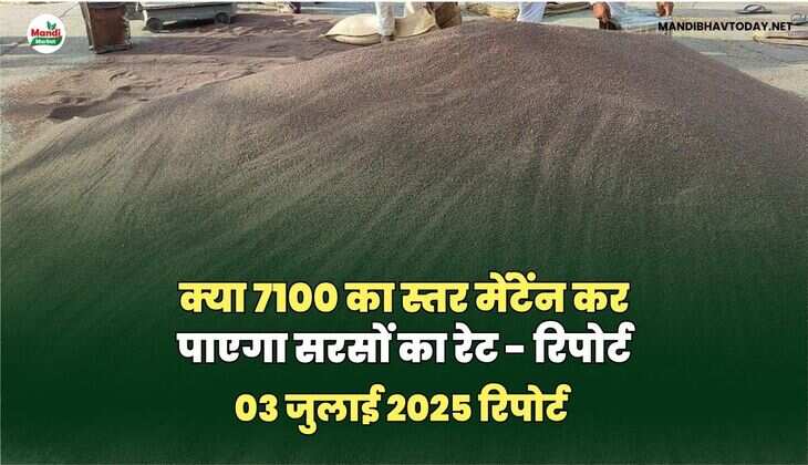 सरसों IMAGES