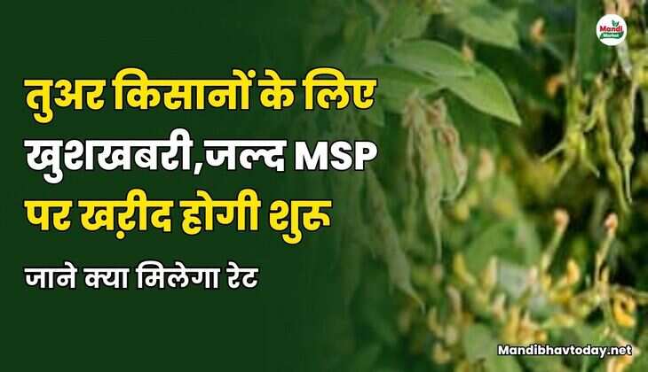 तुवर दाल 