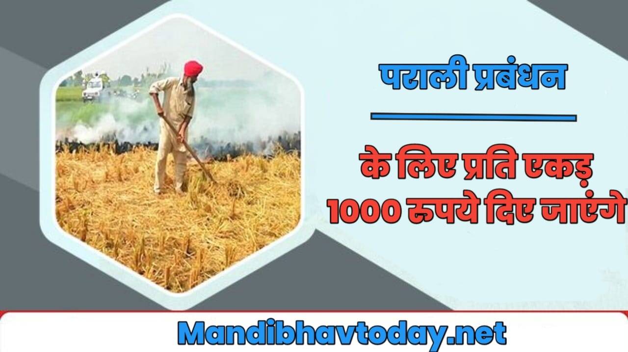 पराली प्रबंधन के लिए प्रति एकड़ 1000 रुपये दिए जाएंगे, जानिए पूरी योजना