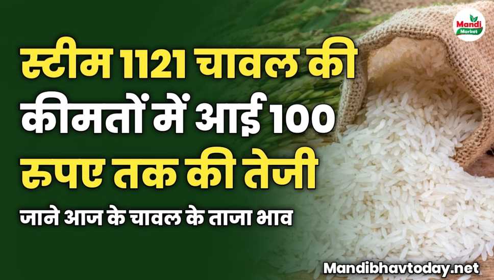 स्टीम 1121 चावल की कीमतों में आई 100 रुपए तक की तेजी | जाने आज के चावल के ताजा भाव 