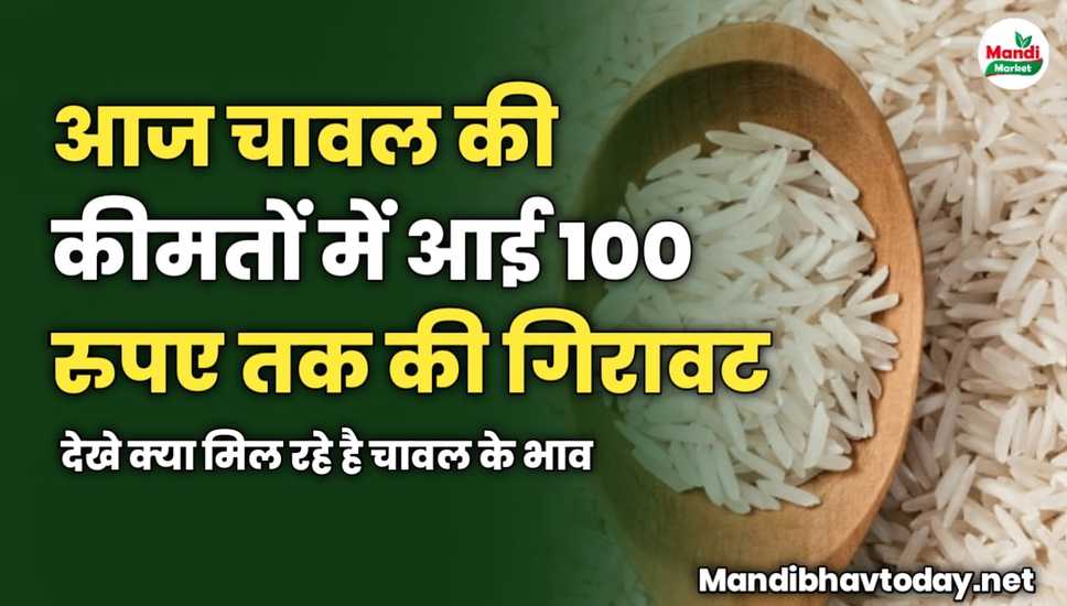 आज चावल की कीमतों में आई 100 रुपए तक की गिरावट | देखे क्या मिल रहे है चावल के भाव 