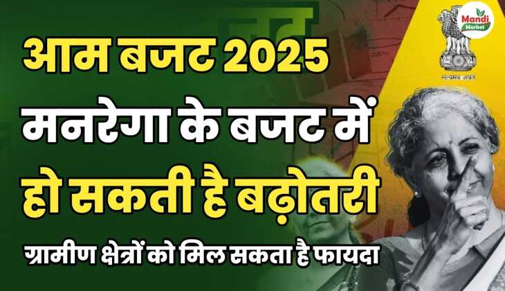 आम बजट 2025: मनरेगा के बजट में हो सकती है बढ़ोतरी, ग्रामीण क्षेत्र को मिल सकता है फायदा