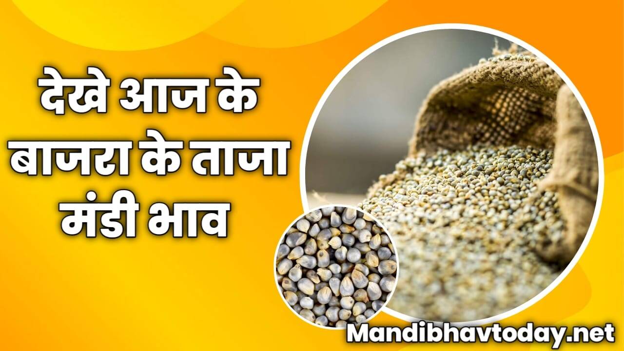 आज के बाजरा के ताजा मंडी भाव | aaj ke bajra ke bhav 04 oct 2023