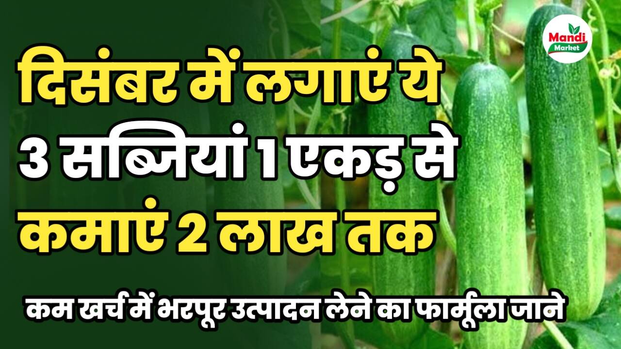 Sabji दिसंबर में