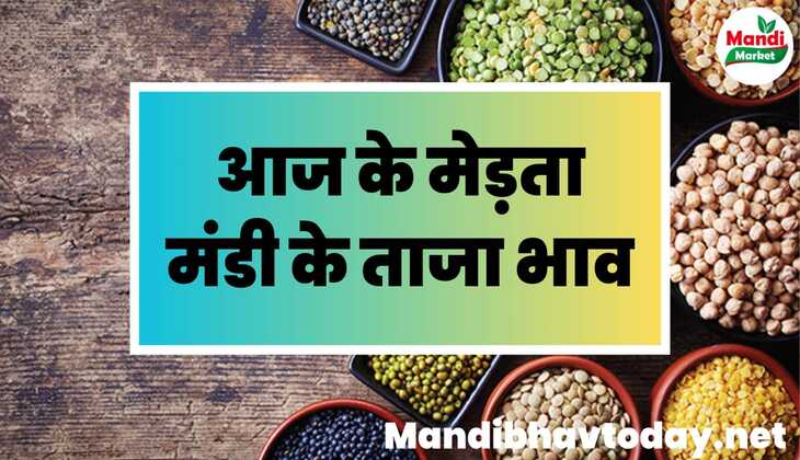 देखे मेड़ता मंडी के ताजा मंडी भाव भाव। Merta Mandi Ka Bhav 27 january 2024