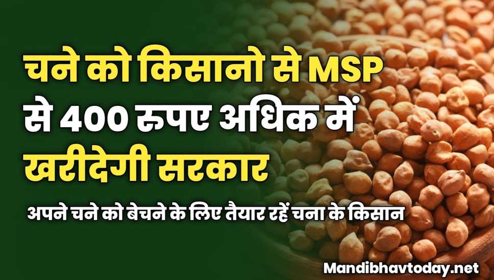 चने को किसानो से एमएसपी से 400 रुपए अधिक में खरीदेगी सरकार | अपने चने को बेचने के लिए तैयार रहें चना के किसान