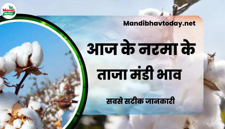 narma bhav 19 april 23