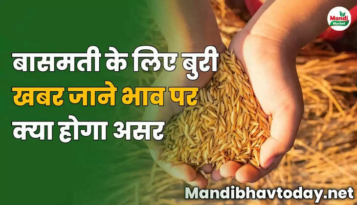 बासमती के लिए बुरी खबर | जाने भाव पर क्या होगा असर