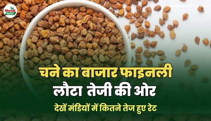 चना IMAGES