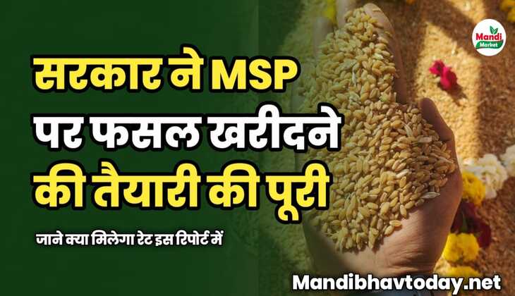 सरकार ने MSP पर फसल खरीदने की तैयारी की पूरी | जाने क्या मिलेगा रेट