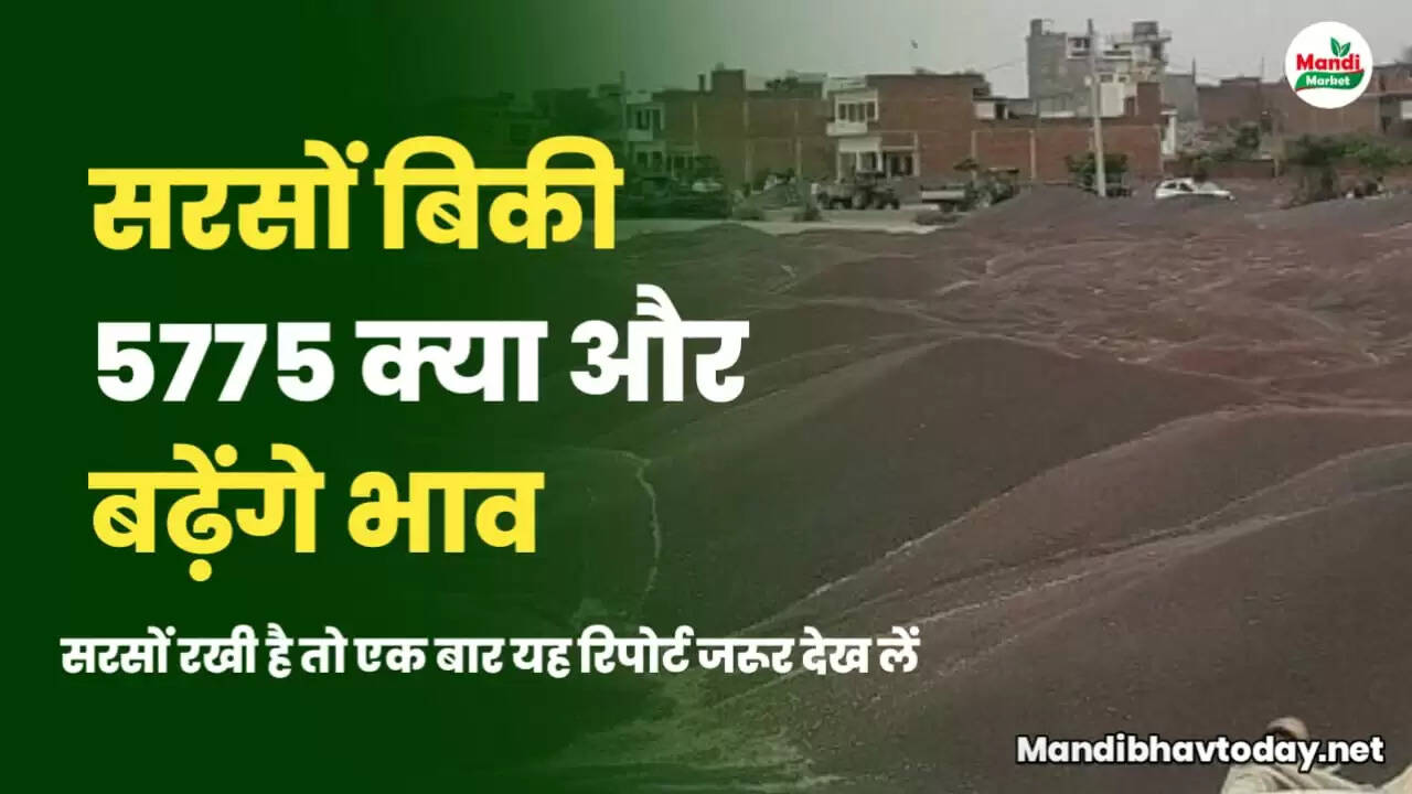 mandi bhav today