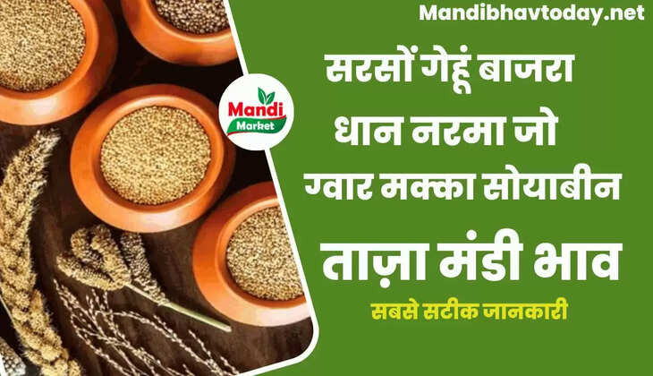 anaj mandi bhav 16 august 2022