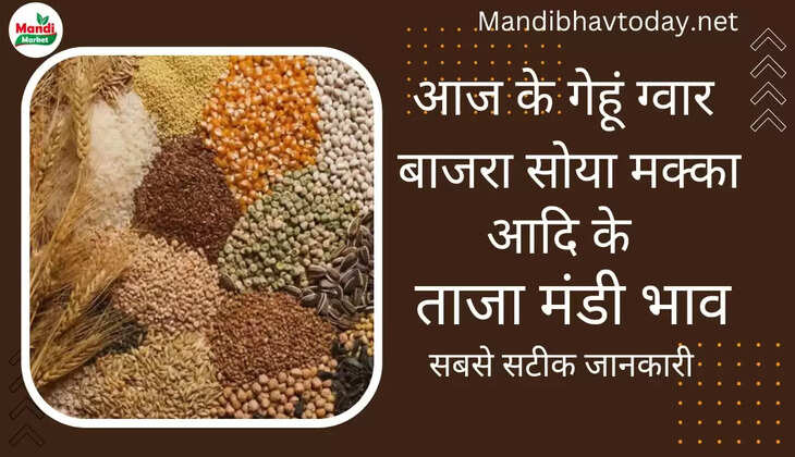 Aaj ke anaj mandi bhav 16 Dec 22