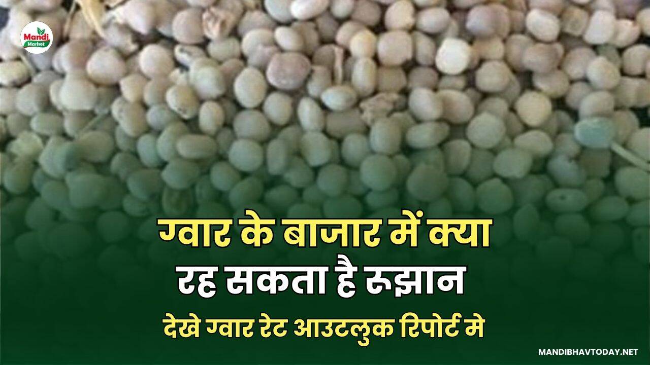 देखे ग्वार रेट आउटलुक रिपोर्ट 