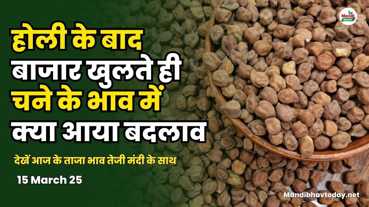 देखें आज के चना के ताजा भाव तेजी मंदी के साथ