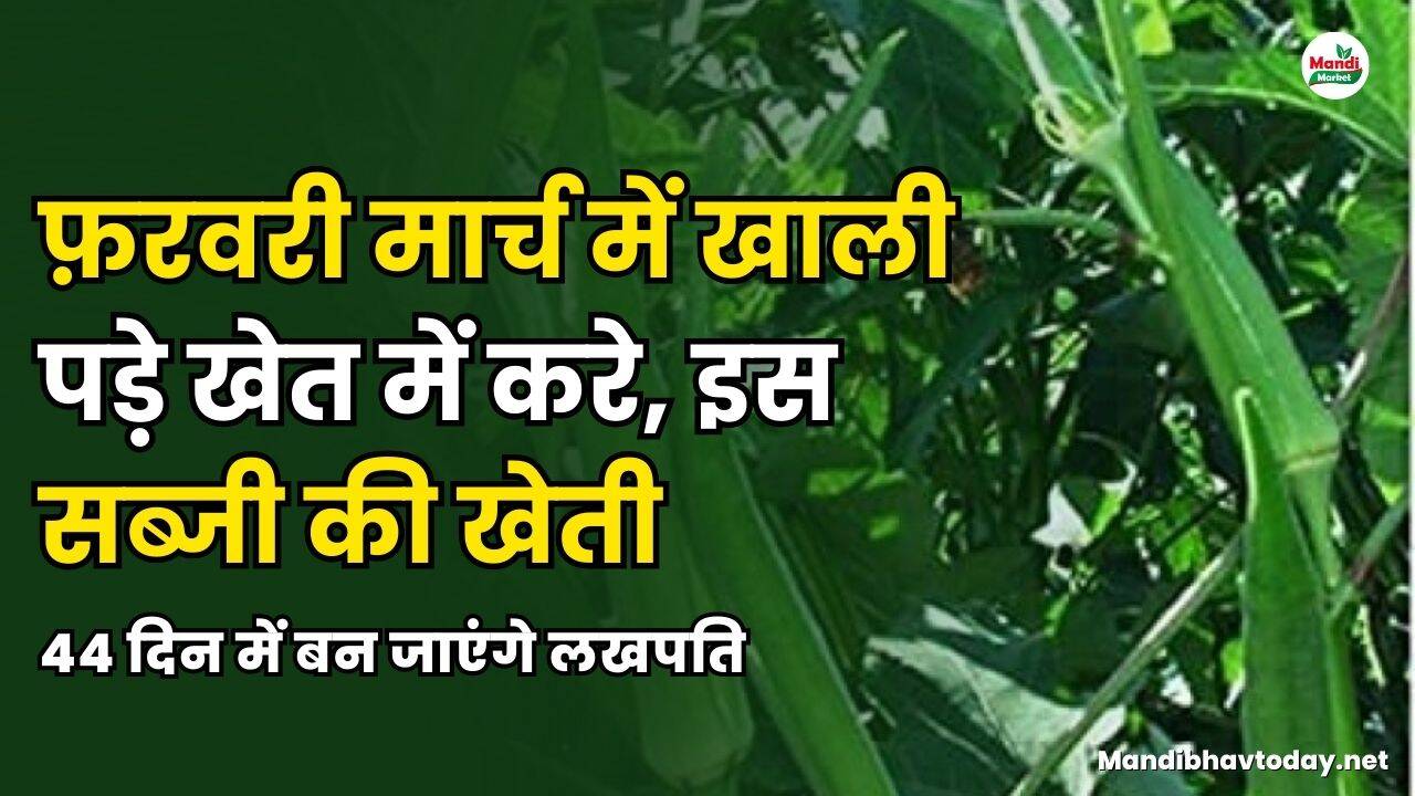 पुस भण्डी