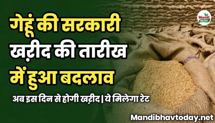 गेहूं की सरकारी खऱीद की तारीख में हुआ बदलाव | अब इस दिन से होगी खऱीद | ये मिलेगा रेट