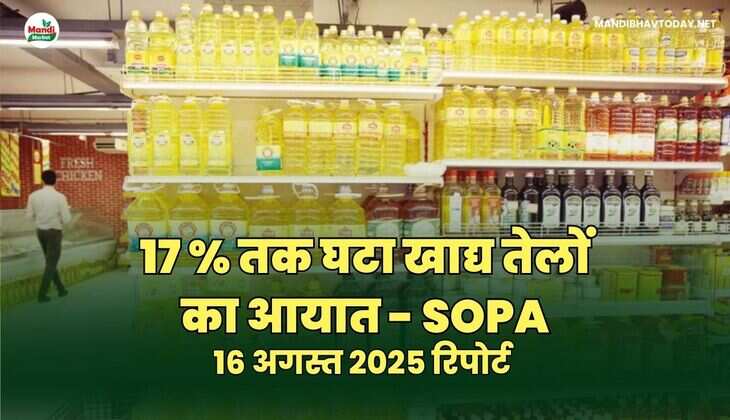 17 % तक घटा खाद्य तेलों का आयात - SOPA