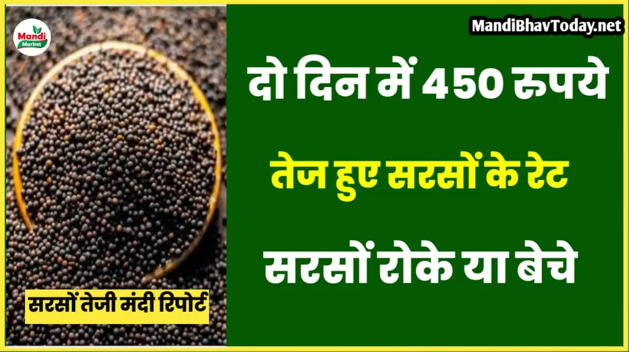 mustard live rate