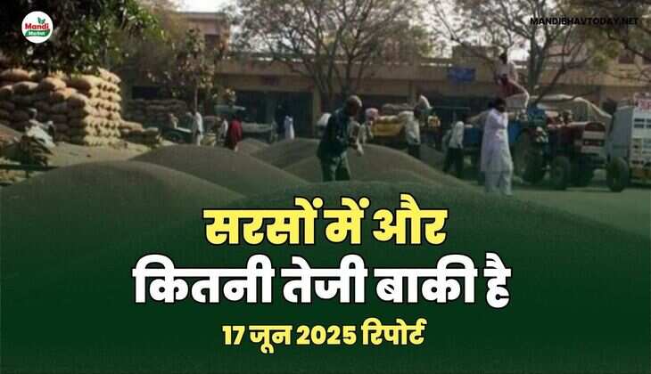 17 जून 2025