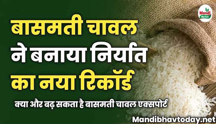 बासमती चावल ने बनाया निर्यात का नया रिकॉर्ड | क्या और बढ़ सकता है बासमती चावल एक्सपोर्ट