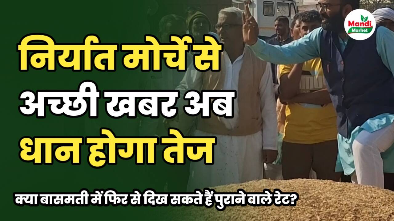 बासमती चावल