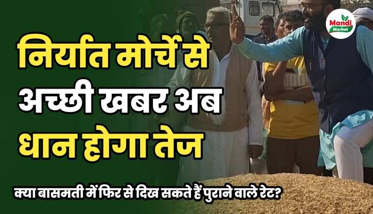 बासमती चावल 