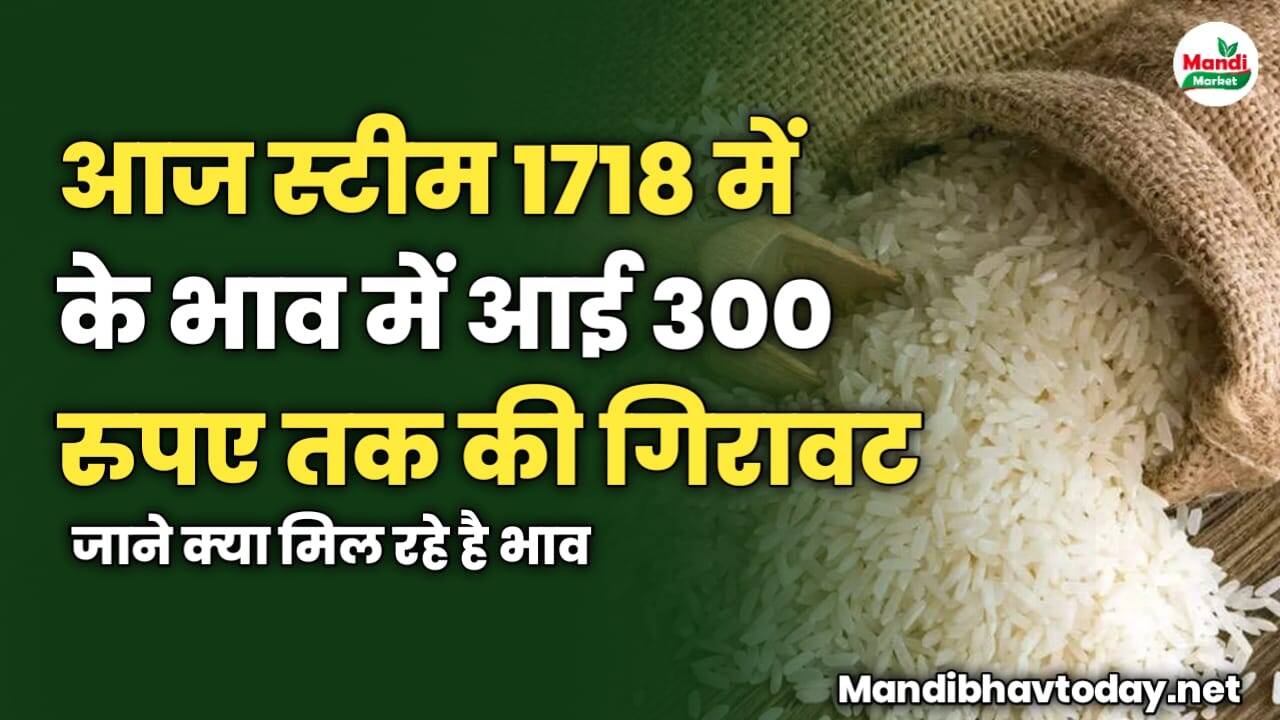आज स्टीम 1718 में के भाव में आई 300 रुपए तक की गिरावट | जाने क्या मिल रहे है भाव