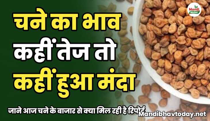 चने का भाव कहीं तेज तो कहीं हुआ मंदा | जाने आज चने के बाजार से क्या मिल रही है रिपोर्ट 