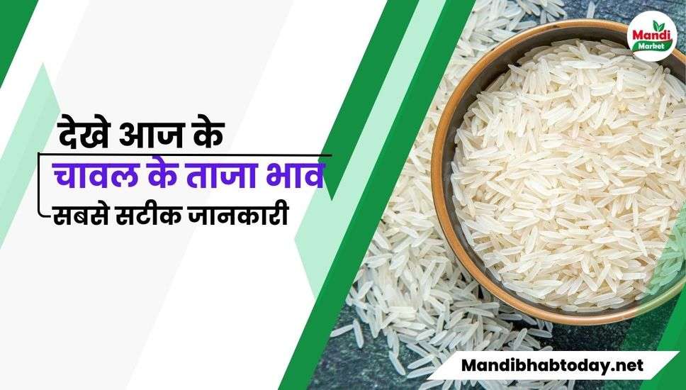बासमती चावल के ताजा भाव | basmati rice ke taja bhav 10 Feb 2024