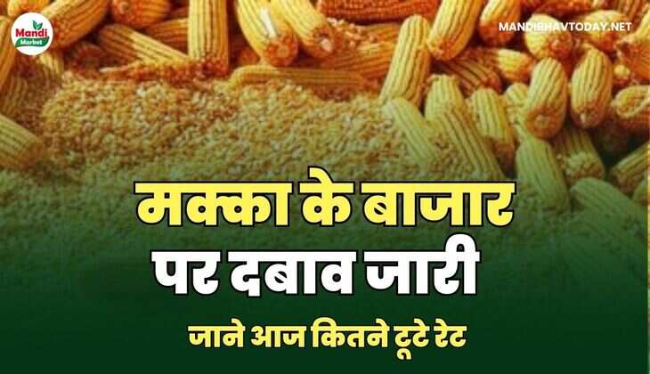  जाने आज कितने टूटे रेट