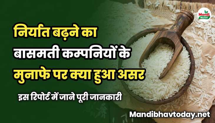 निर्यात बढ़ने का बासमती कम्पनियों के मुनाफे पर क्या हुआ असर | इस रिपोर्ट में जाने