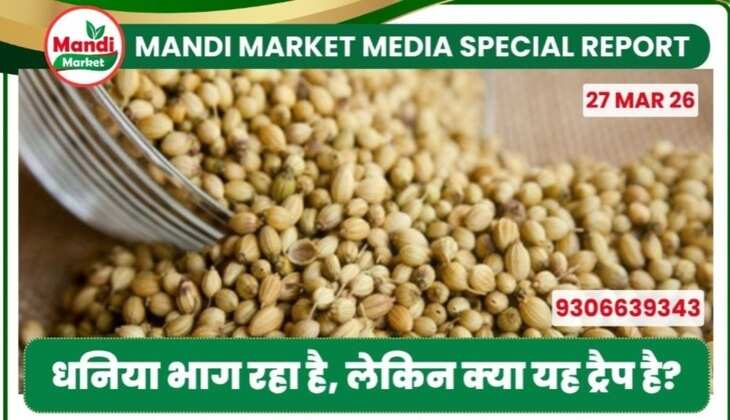 धनिया भाग रहा है, लेकिन क्या यह ट्रैप है?