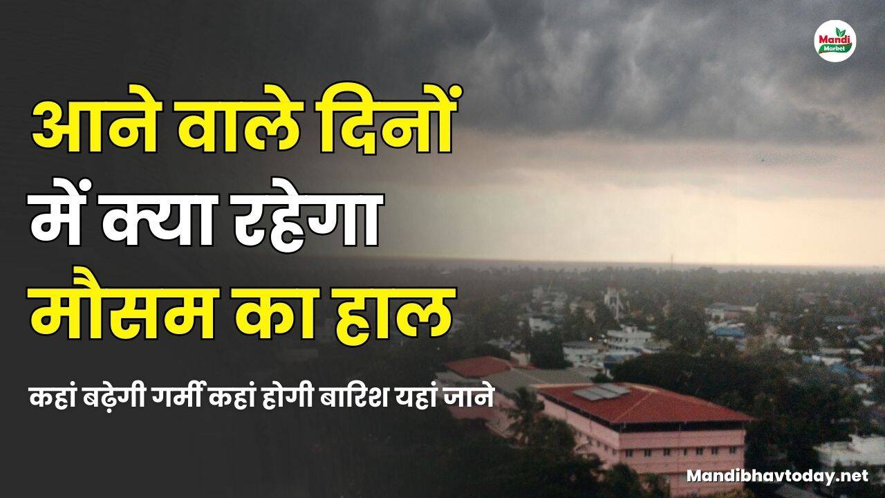 आने वाले दिनों में क्या रहेगा मौसम का हाल | कहां बढ़ेगी गर्मी कहां होगी बारिश यहां जाने 