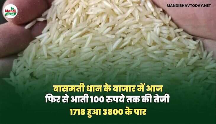 बासमती IMAGES