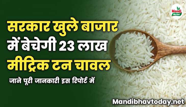 केंद्र सरकार खुले बाजार में बेचेगी 23 लाख मीट्रिक टन चावल | जाने पूरी जानकारी इस रिपोर्ट में 