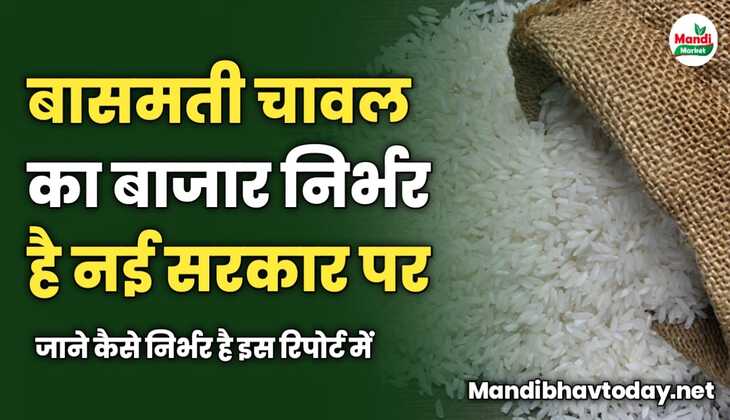 बासमती चावल का बाजार निर्भर है नई सरकार पर | जाने कैसे निर्भर है इस रिपोर्ट में 