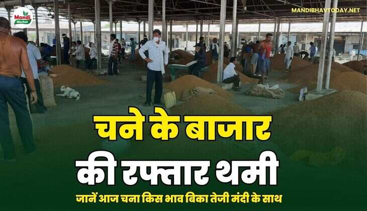 मंडी mandibhavtoday