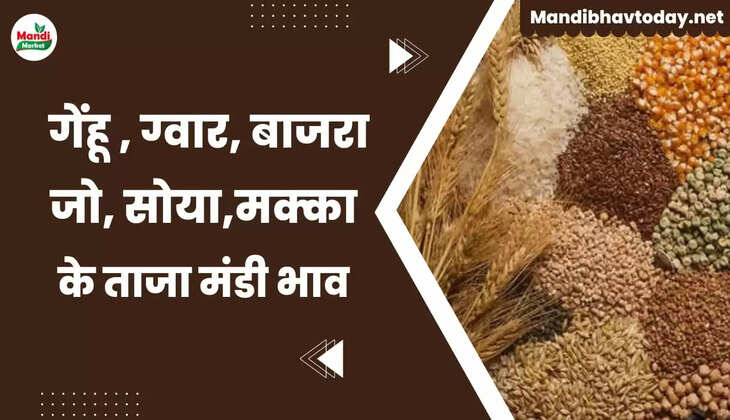 Aaj ke anaj mandi bhav 31 oct 22