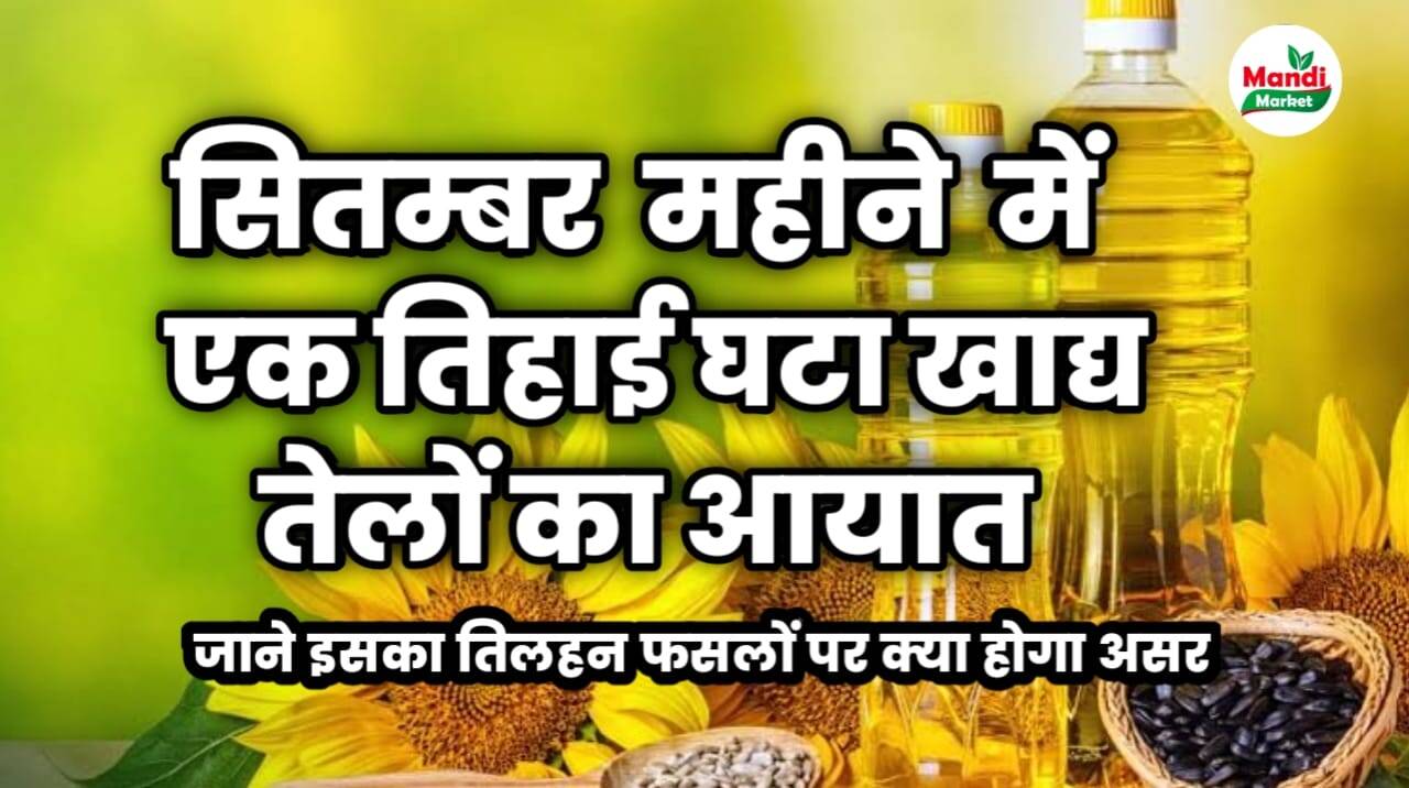 edible oils report