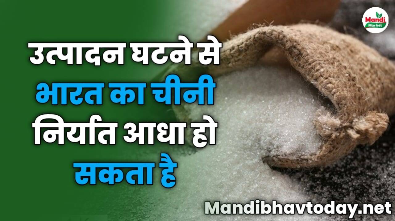 उत्पादन घटने से भारत का चीनी निर्यात आधा हो सकता है