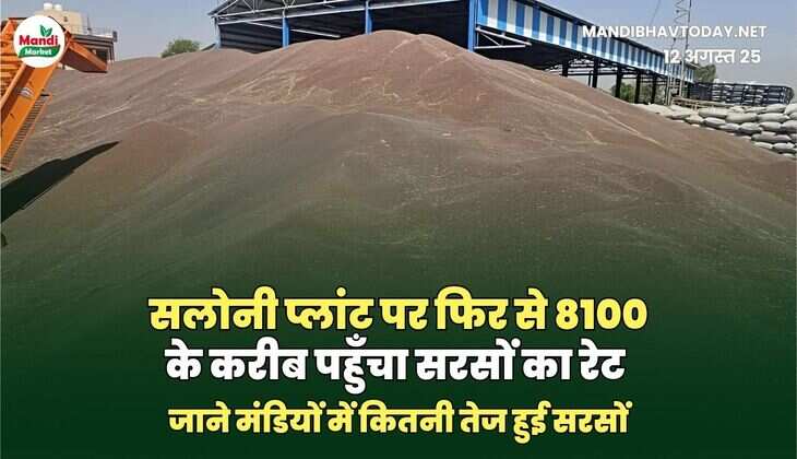 सरसों IMAGES