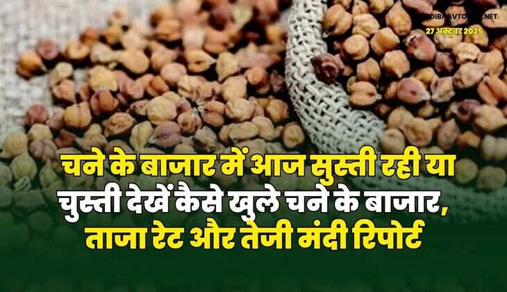 चने के बाजार में आज सुस्ती रही या चुस्ती | देखें कैसे खुले चने के बाजार, ताजा रेट और तेजी मंदी रिपोर्ट