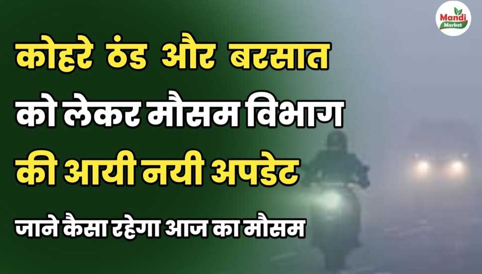 कोहरे, ठंड और बरसात को लेकर मौसम विभाग की नई अपडेट | जानें कैसा रहेगा मौसम